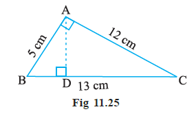 Page 217 Chapter 11 Class 7th Non-Rationalised NCERT 2019-20